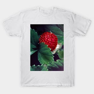 wild strawberry T-Shirt